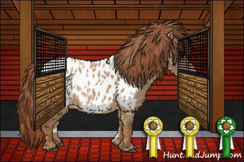 Horse Color:Red Dun Near Leopard 