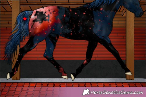 Horse Color:ERROR: UNKNOWN ANOMALY and ERROR: UNKNOWN ANOMALY