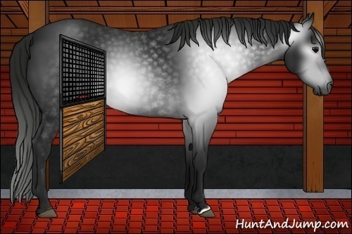 Horse Color:Gray Black 