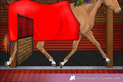 Horse Color:Painted White Spotted Chestnut Splash 