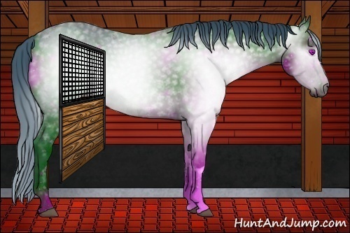 Horse Color:ERROR: UNKNOWN ANOMALY