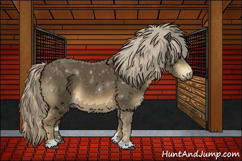 Horse Color:Chocolate Palomino Mushroom 