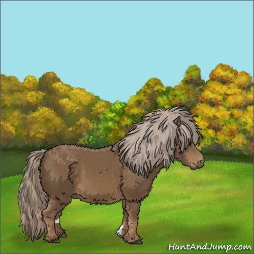 Horse Color:Chocolate Palomino 