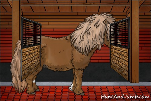 Horse Color:Gray Palomino 