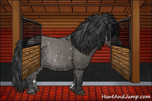 Horse Color:Grullo 