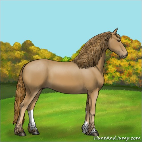 Horse Color:Unknown 
