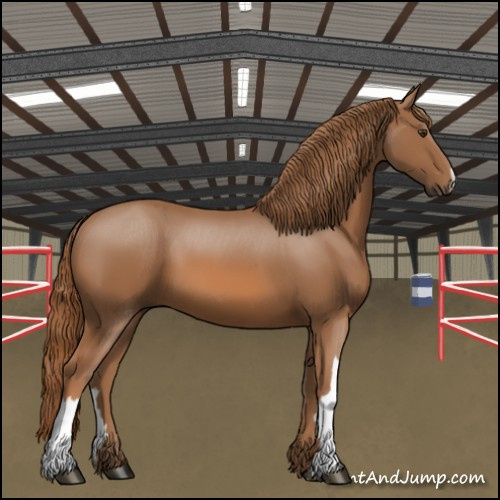 Horse Color:Chestnut 