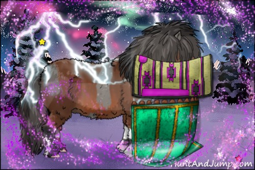 Horse Color:Grullo  and Bay 