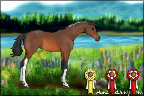 Horse Color:Bay Tobiano 