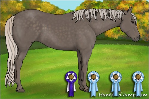 Horse Color: Silver Black 