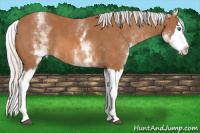 Horse Color:White Spotted Silver Bay Splash 
