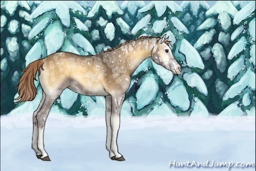 Horse Color:ERROR: UNKNOWN ANOMALY