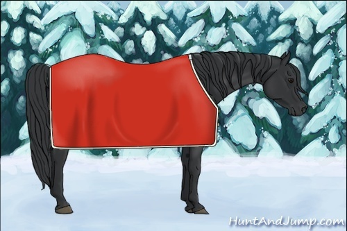 Horse Color: Unknown 