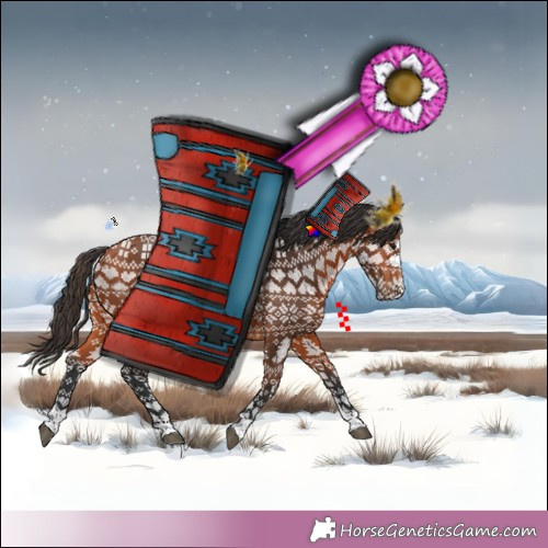 Horse Color:Unknown 