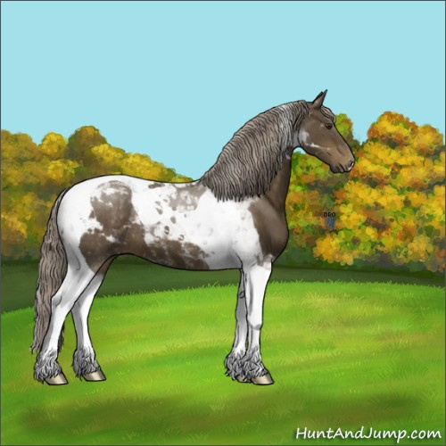 Horse Color: Chocolate Palomino Tobiano 