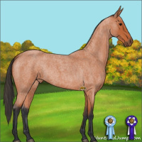 Horse Color:Bay Roan 