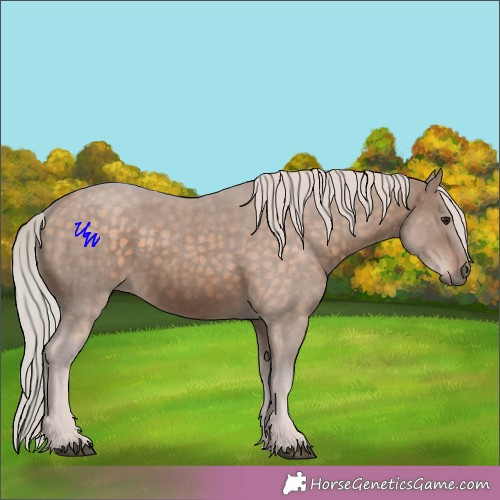 Horse Color:Silver Brown Dun 