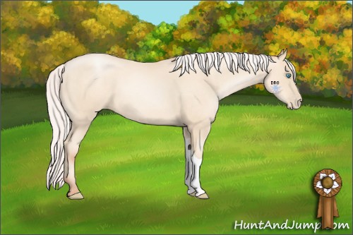 Horse Color:Silver Amber Cream Champagne Pearl 