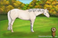 Horse Color:Silver Amber Cream Champagne Pearl 
