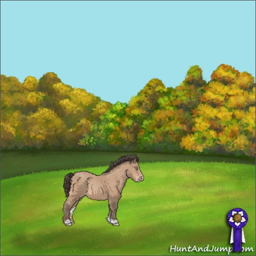 Horse Color:Amber Champagne 