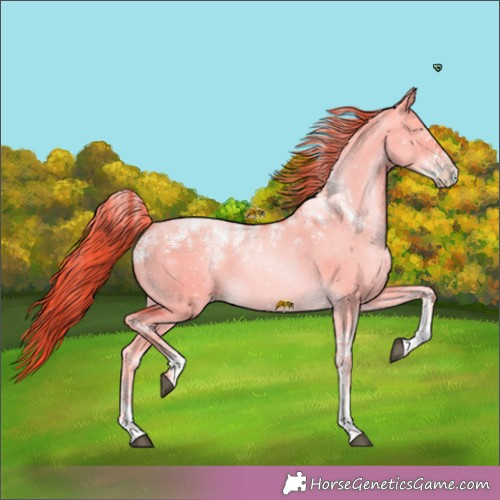 Horse Color:Powder White Red Dun Pearl 