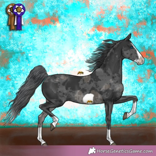Horse Color: Black Merle Splash Frame 
