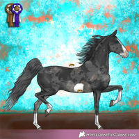 Horse Color:Black Merle Splash Frame 