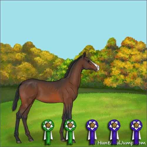 Horse Color:Unknown 