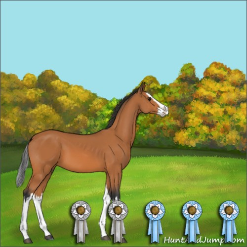 Horse Color:Unknown 