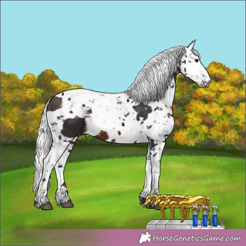 Horse Color:Brown Harlequin Merle 