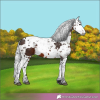 Horse Color:Brown Harlequin Merle 