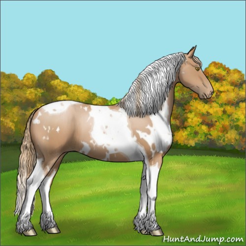 Horse Color: White Spotted Chestnut Pearl Tobiano 