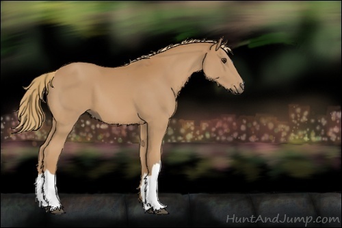 Horse Color:Unknown 