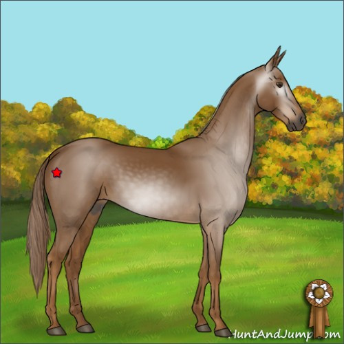 Horse Color:Unknown 