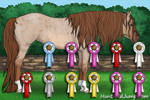 Horse Color: Red Dun Roan 