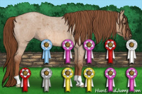 Horse Color:Red Dun Roan 