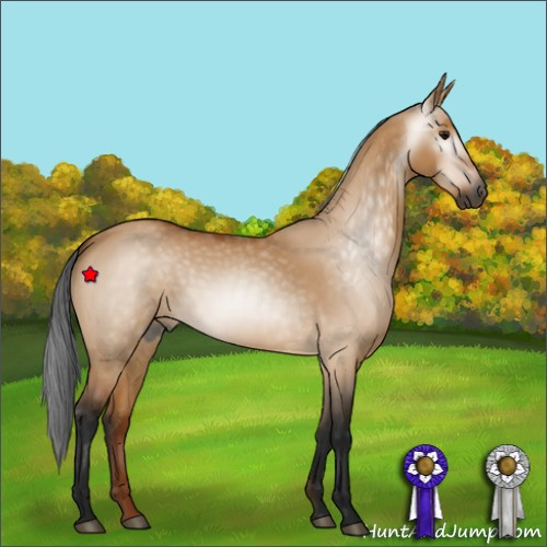 Horse Color:Gray Bay Dun 