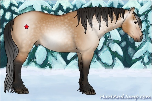 Horse Color:Unknown 