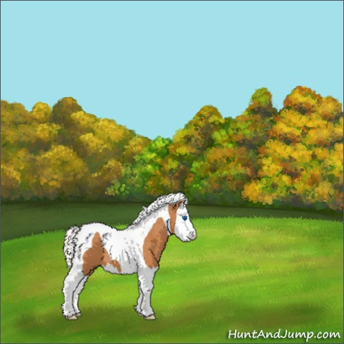 Horse Color:Silver Bay Splash Tobiano 