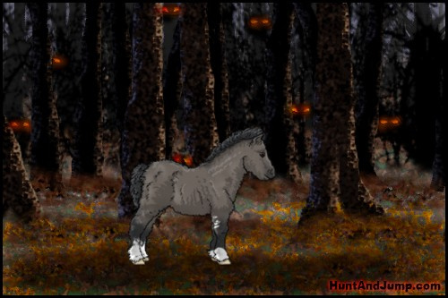 Horse Color:Grullo Sabino 