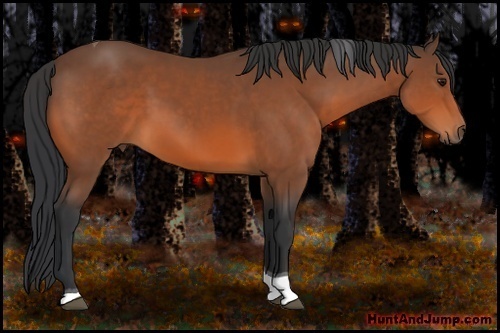 Horse Color: Bay Tobiano 