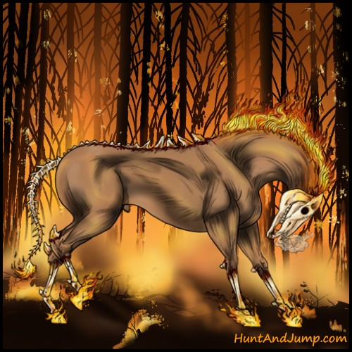 Horse Color: Unknown 