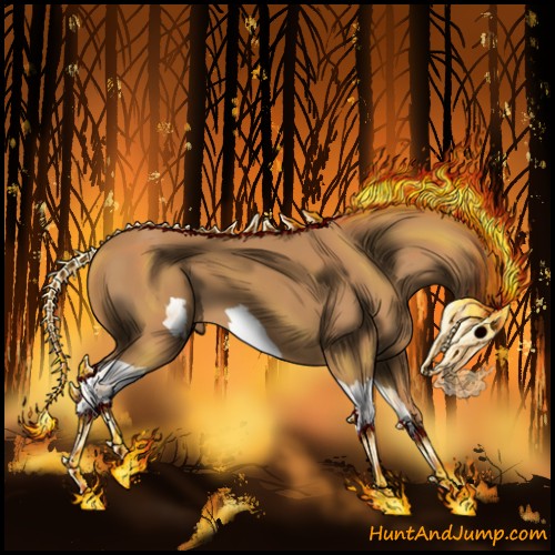Horse Color: Unknown 