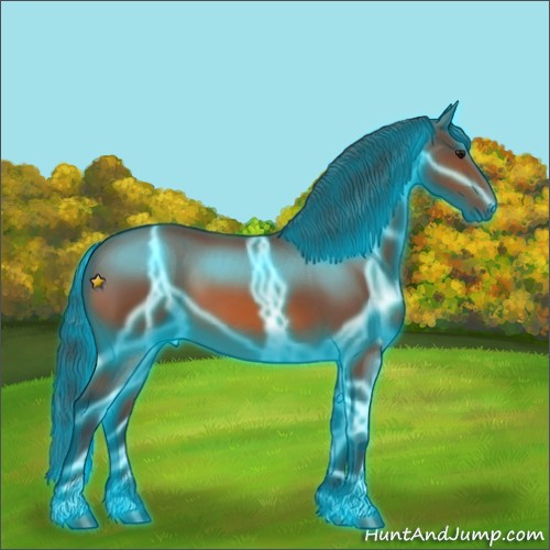 Horse Color:Unknown 