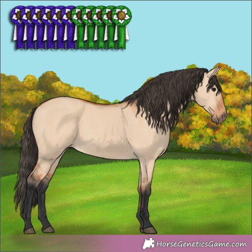 Horse Color: Bay Dun 