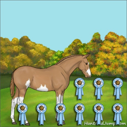 Horse Color:Unknown 