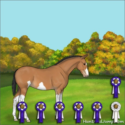 Horse Color:Unknown 