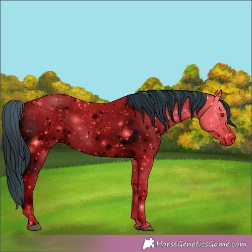 Horse Color:ERROR: UNKNOWN ANOMALY