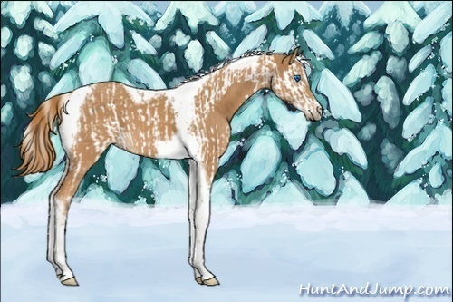 Horse Color:Chestnut Splash Tobiano  and Chestnut Splash Tobiano Frame 