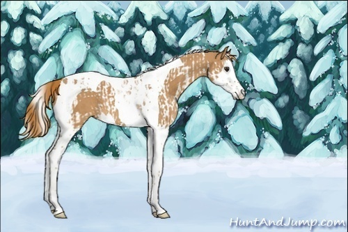 Horse Color:Chestnut Splash Tobiano  and Chestnut Splash Tobiano 